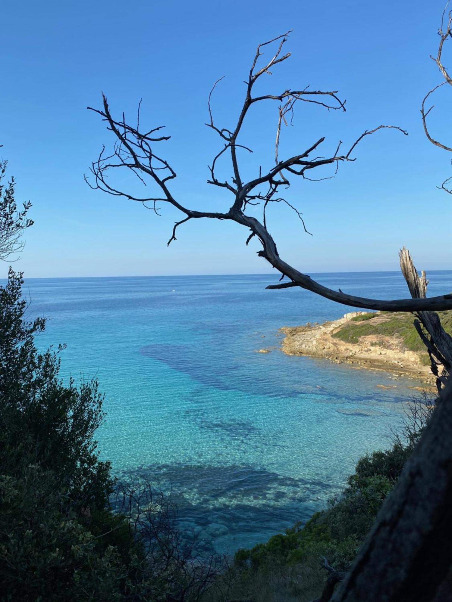 Nidu Accogliente In Balagna Apartamento LʼÎle-Rousse Exterior foto